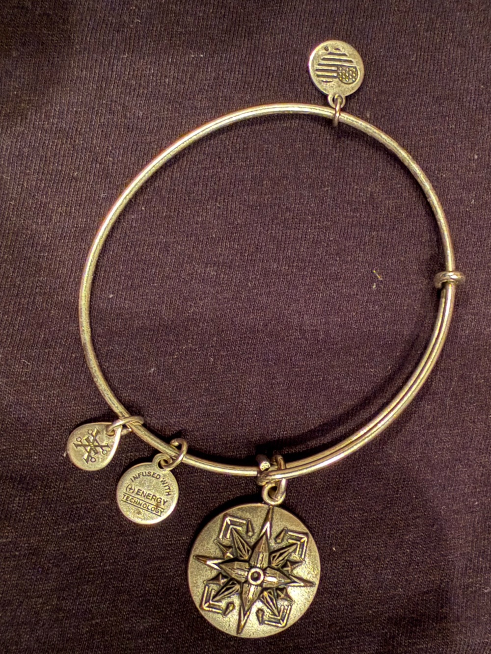 🧭✨ Alex and Ani Endless Love Compass Charm Expandable Bangle Bracelet ❤️